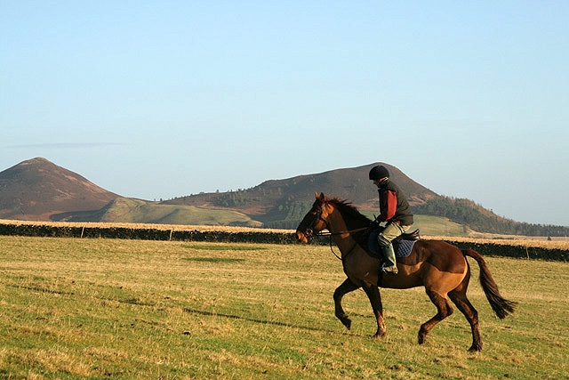  Trotar con el caballo 